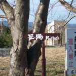 1月11日 　足湯看板デビュー