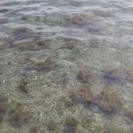 もう勘弁して下さい💦