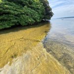 能登　穴水町岩車　野々木鼻