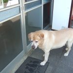 係長はクーラー好き💛