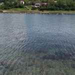 久しぶりに係長とお散歩へ♪