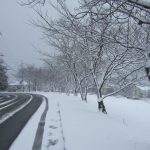 別荘地内各地区の雪化粧
