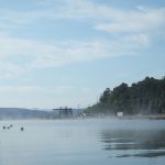 格安売土地あります